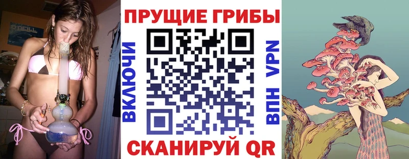 наркошоп Кстово Псилоцибиновые грибы Psilocybine cubensis