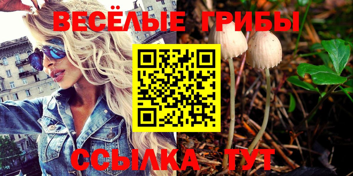 Псилоцибиновые грибы Psilocybe Кстово